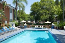 Pool and Sun Deck