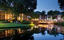 Lake View Apartments
