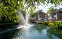 Pond Fountain