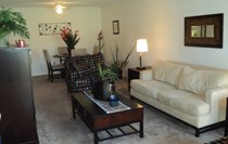 Open Concept Floor Plans