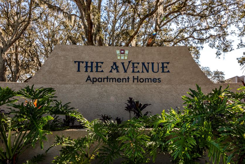 The Avenue Apartments in Temple Terrace