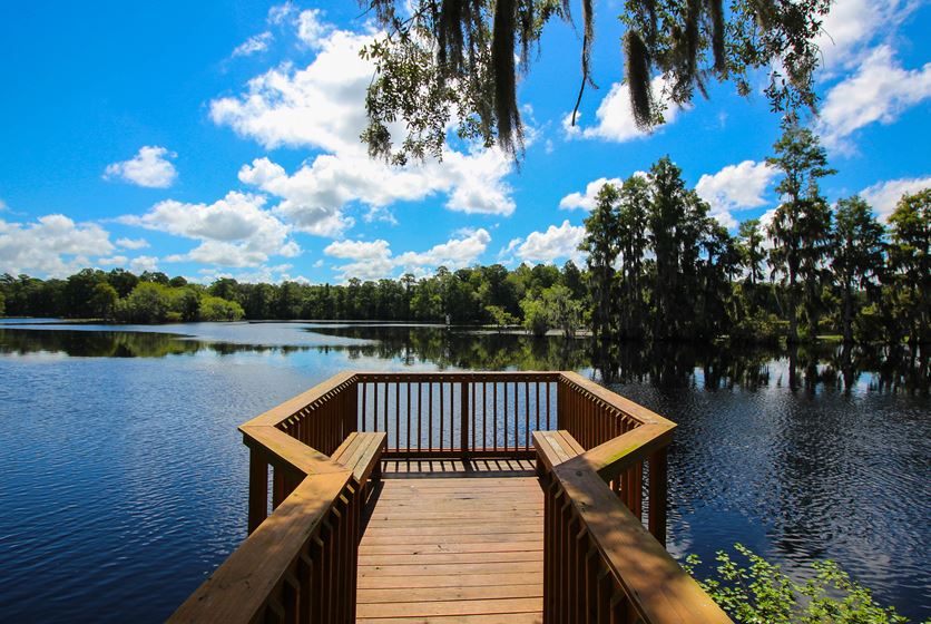 River View Apartments in Tampa, FL