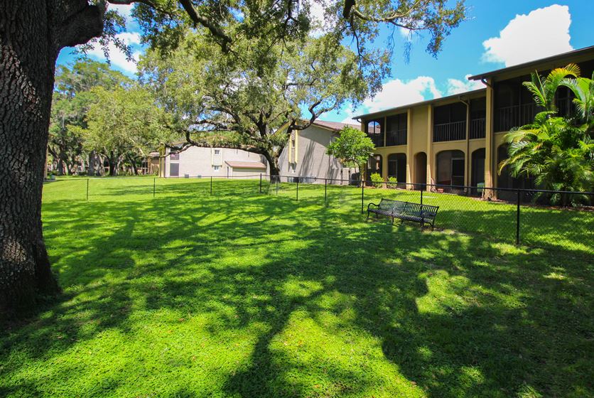 River View Apartments in Tampa, FL