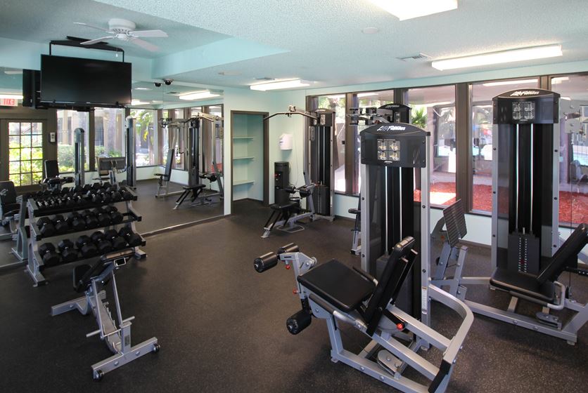River View Apartments in Tampa, FL