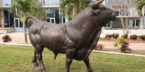 University of South Florida (USF)